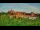 Webcam in Malbork, 240.7 km