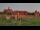 Webcam in Malbork, 121.2 km