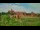 Webcam in Malbork, 19 mi away