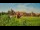 Webcam in Malbork, 42.3 km entfernt