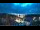 Webcam in Netzschkau, 8 mi away