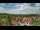 Webcam in Netzschkau, 20.6 km