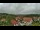 Webcam in Netzschkau, 50.1 km