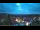 Webcam in Netzschkau, 20.9 km