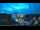 Webcam in Netzschkau, 38.8 km