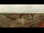 Webcam in Eferding, 8.6 mi away