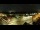 Webcam in Eferding, 28.3 km