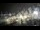 Webcam in La Turballe, 21.8 km entfernt