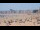 Webcam in Pornichet, 0 km entfernt