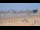 Webcam in Pornichet, 0.4 km entfernt