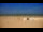 Webcam in Berck-sur-Mer, 0.4 km entfernt