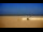 Webcam in Berck-sur-Mer, 0.2 mi away