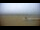 Webcam in Berck-sur-Mer, 0.4 km entfernt