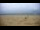 Webcam in Berck-sur-Mer, 1.2 km
