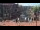 Webcam in Birmingham, 55 km