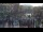 Webcam in Birmingham, 60 km