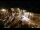 Webcam in Tence, 32.7 km
