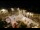 Webcam in Tence, 80.2 km