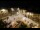 Webcam in Tence, 25.5 km