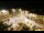 Webcam in Tence, 80.2 km