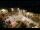 Webcam in Tence, 36.9 km