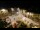 Webcam in Tence, 14.2 mi away