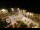 Webcam in Tence, 27.7 mi away