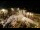 Webcam in Tence, 6.1 km entfernt