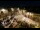 Webcam in Tence, 50.6 km entfernt