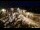 Webcam in Tence, 7.3 km