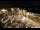 Webcam in Tence, 25.5 km