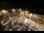 Webcam in Tence, 25.5 km