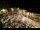 Webcam in Tence, 28.9 km entfernt