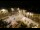 Webcam in Tence, 50.6 km