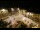 Webcam in Tence, 50.6 km