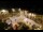 Webcam in Tence, 28.9 km entfernt