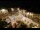 Webcam in Tence, 28.9 km