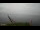 Webcam in Riga, 5.2 mi away