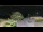 Webcam in Saint-Vincent-sur-Jard, 7.7 km