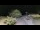 Webcam in Saint-Vincent-sur-Jard, 3.2 km