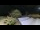 Webcam in Saint-Vincent-sur-Jard, 1.7 mi away