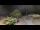Webcam in Saint-Vincent-sur-Jard, 4.6 km
