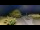 Webcam in Saint-Vincent-sur-Jard, 1.2 mi away