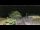 Webcam in Saint-Vincent-sur-Jard, 3.2 km