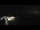 Webcam in Trégunc, 2.5 mi away