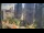 Webcam in Singapore, 453.8 mi away