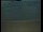 Webcam in Farmoor, 22.7 mi away