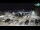 Webcam in Novigrad, 0.2 km