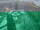 Webcam in Kemerovo, 78 mi away