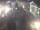 Webcam in Kemerovo, 623.2 mi away